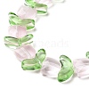 Transparent Glass Beads Strands LAMP-H061-02C-4