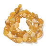 Natural Gemstone Beads Strands G-P497-01E-14-3