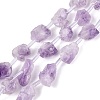 Raw Rough Natural Amethyst Beads Strands G-Q610-04-2
