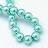 Baking Painted Pearlized Glass Pearl Round Bead Strands HY-Q003-6mm-65-4