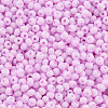 8/0 Opaque Glass Seed Beads X1-SEED-S048-N-004-3