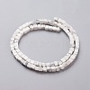 Natural Howlite Beads Strands G-F631-K11-2