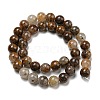 Natural Golden Leaf Jasper Beads Strands G-R494-A20-04-2