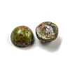 Natural Unakite Cabochons G-H309-03-41-2