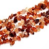 Natural Carnelian Beads Strands G-O050-05-1