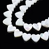 Natural Trochid Shell/Trochus Shell Beads Strands SSHEL-N034-98A-B01-3