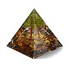 Orgonite Pyramid Resin Energy Generators DJEW-D013-06A-2