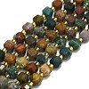 Natural Dalmatian Jasper Beads Strand G-I376-D76-01-1