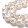 Natural Cultured Freshwater Pearl Beads Strands PEAR-L033-89-01-2