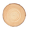 Flat Round Natural Pine Wooden Slices WOCR-PW0001-388B-1