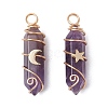 2Pcs 2 Styles Natural Amethyst Double Terminated Pointed Pendants PALLOY-JF03122-01-1