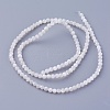 Shell Beads Strands SSHEL-E571-39-3mm-2