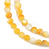 Natural Golden Yellow Shell Beads Strands SSHEL-G024-01A-3