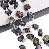 Electroplate Raw Rough Natural Amethyst Beads Strands G-Q610-06C-1