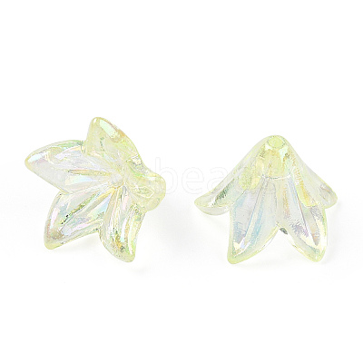 Transparent Acrylic Bead Caps OACR-H016-05C-1