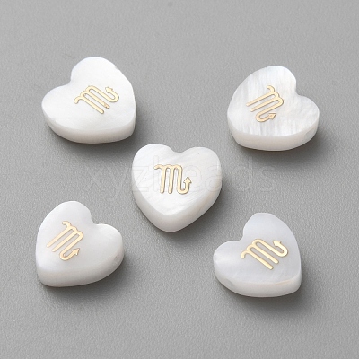 5Pcs Natural White Shell Beads BSHE-TAC0004-02J-1