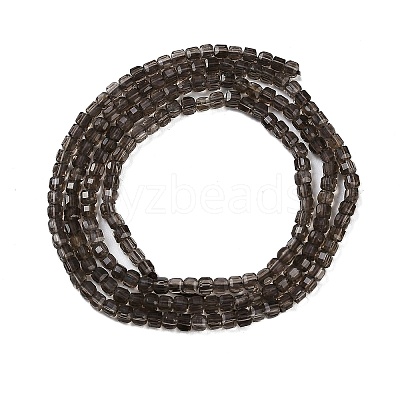 Natural Smoky Quartz Beads Strands G-P553-E06-01-1