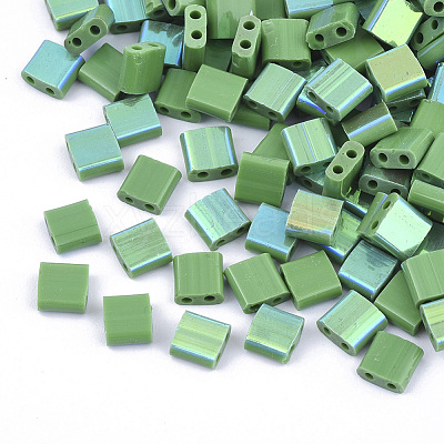 FGB 2-Hole Glass Seed Beads SEED-S031-L-047-R-1
