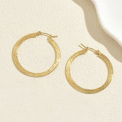 201 Stainless Steel Hoop Earrings for Women VF3090-1-1