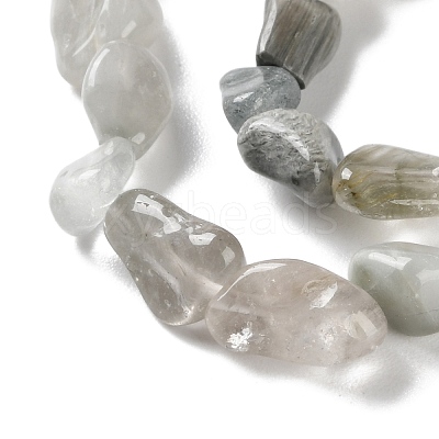 Natural Eagle Eye Stone Beads Strands G-P497-01C-14-1