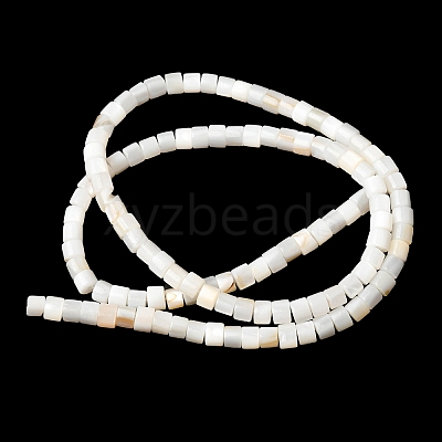 Natural Freshwater Shell Beads Strands SHEL-K006-07-1