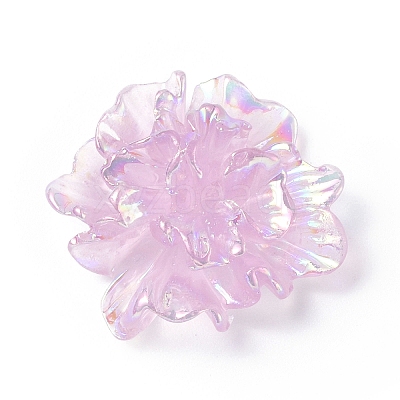 Resin Cabochon LS-RESI-E033-01-1