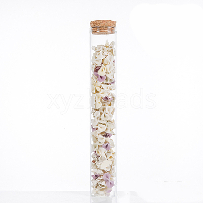 Mini High Borosilicate Glass Bottle Bead Containers BOTT-PW0001-262I-1
