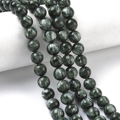 Natural Seraphinite Beads Strands G-C270-O01-07-1