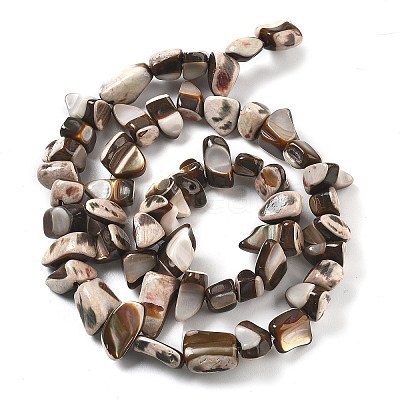 Dyed Natural Trochus Shell Beads Strands BSHE-Z006-01B-1