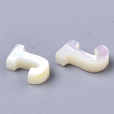 Natural Sea Shell Beads LS-X-SHEL-T012-60J-1