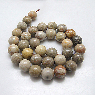 Natural Fossil Coral Beads Strands X-G-G212-6mm-31-1