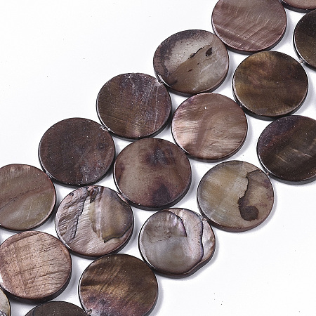 Freshwater Shell Beads Strands SHEL-T014-011A-1