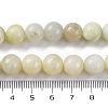 Natural New Jade Beads Strands G-F591-16-10MM-5