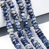 Natural Blue Spot Jasper Beads Strands G-N357-14A-04-1