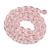 Transparent Glass Beads Strands EGLA-N013-T10mm-D18-2