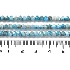 Natural Apatite Beads Strands G-J400-E04-01-5