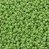 MIYUKI Round Rocailles Beads SEED-X0054-RR0479-3