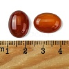 Natural Red Agate Cabochons G-L601-03B-01-3