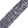 Natural Sapphire Beads Strands G-R460-016-1