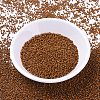 MIYUKI Delica Beads SEED-MY11-DB2109-2