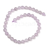 Natural Lavender Amethyst Beads Strands G-Z136-A01-10mm-4