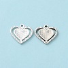 925 Sterling Silver Charms STER-C004-06S-2