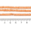 Natural Freshwater Shell Beads Strands SHEL-P017-01B-05-4