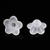 Transparent Acrylic Beads PL554-A-2