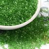 Transparent Glass Seed Beads SEED-S042-21B-01-1