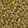 MIYUKI Round Rocailles Beads X-SEED-G009-RR0578-3