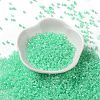 Glass Seed Beads X-SEED-S042-13A-11-2