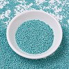 MIYUKI Delica Beads SEED-X0054-DB0878-1