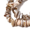 Natural Freshwater Shell Beads Strands SHEL-A006-05-3