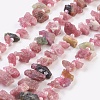 Natural Tourmaline Beads Strands G-F568-010-1